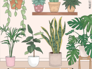 Wodixmwodcim by Teryl Wallace