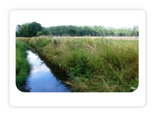 Woordenschat De Gruffalo K3 by Rieneke Berbee