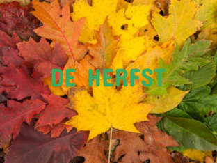 Woordenschat: Herfst by Janna Dhaene