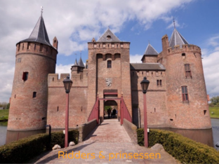 Woordenschat: Ridders & prinsessen by Janna Dhaene