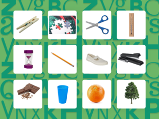 Woordstukjes tellen by Cathy Van Der Vekens