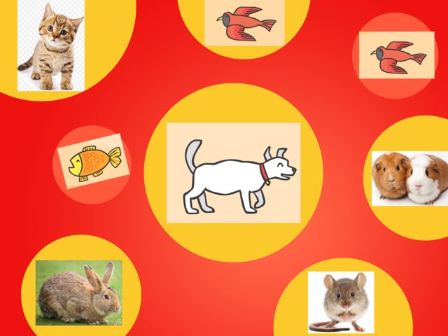 Year 1 Petto (Pets) by Irene Ong