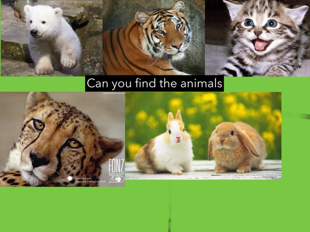 Year One And Two Games Made By Alliyah & Jorja by Nicole Pestell