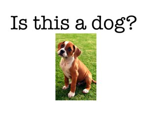 Yes No by Ashley Morris