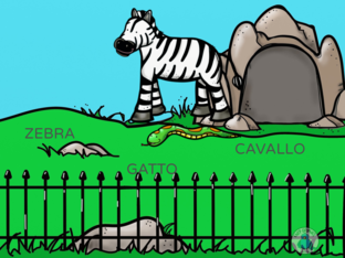 ZOO by 