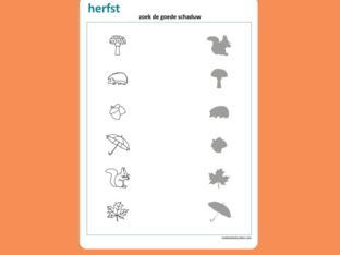 Zoekspelletjes herfst K1 by Evy Van Schoor