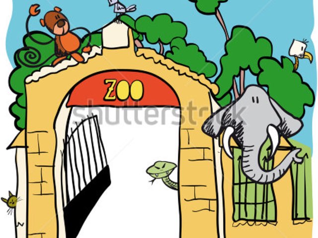 Zoo by Shujat Khan