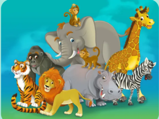 Zoo by Barbora