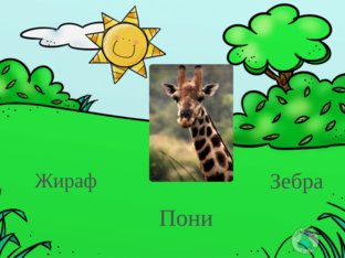 Животные by Алёна Куц