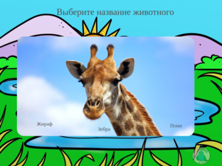Животные by Анастасия Куренкова