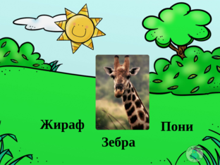 Животные by Сердюк Анастасия