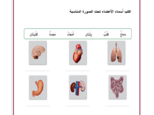 تجربة by مدرسة الهداية الهداية