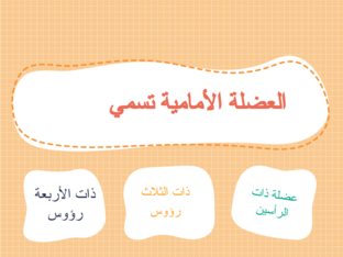 الهيكل 1 by fatma