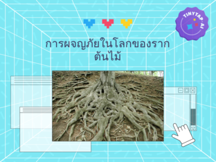 รากต้นไม้ที่มหัศจรรย์ by ท.ไทม์ ไทม์