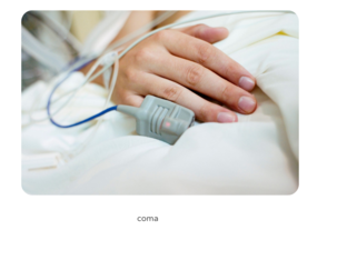 ,,,,, by Maestro Iker Vargas Espinosa