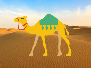 التكيف by Fas