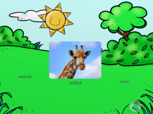 Животные by Angelina