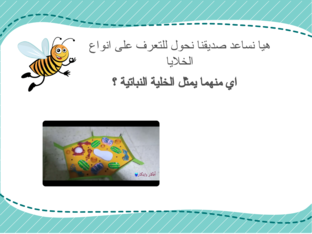 الخلية by Walla EID MUBARAK AL RASHDI