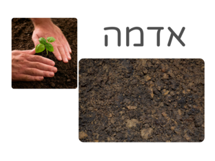 אדמה by Orit Friedman