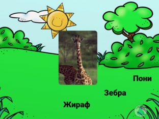 Животные by Игорь Трюханов