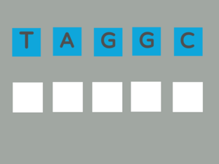 الوراثة by hanan omari