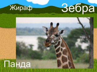 Животные by Alex Hirsh