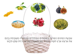 שבועות by 