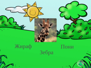Зоопарк by Марина Шашуро