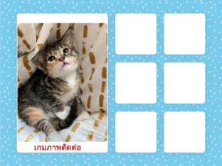 เกมภาพตัดต่อ by Fuang Phimlaphat