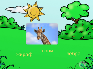 животные by Alina Kadirova