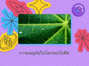 สนุกกับใบพืช by ท.ไทม์ ไทม์