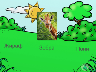 Животные by Elizaveta Lebedeva