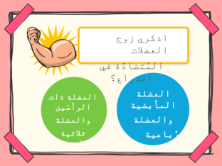 العضلات by Sumayya Ahmad