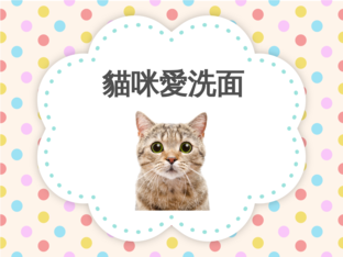 本土語-貓咪愛洗面 by Hsin Yi Hsu
