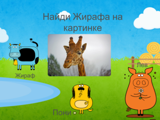 Животоные by Илья Галдин