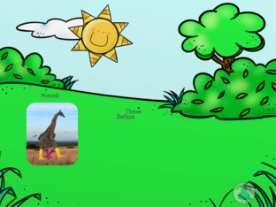 Насиба by Полина Порохина