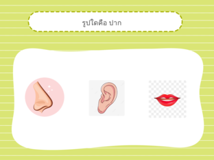 ร่างกายของเรา by รวงข้าว กุสันเทียะ