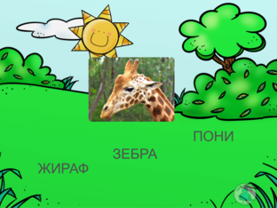 ЖИВОТНЫЕ by Марина переведенцева