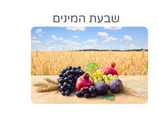 שבועות by אגודת עמי אגודת עמי