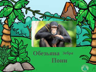 Животные by Tanya Popkova