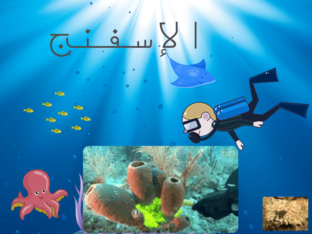 الإسفنج by منى حيدر الشهري