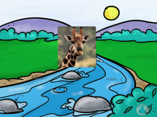 Животные by кирилл фишер