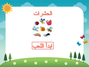 الحشرات by shahd tarek