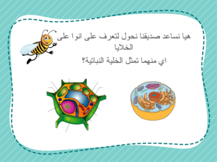 الخلية by Walla EID MUBARAK AL RASHDI