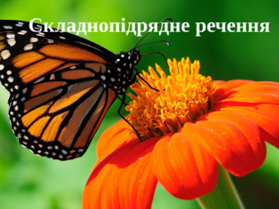 СПР, 9 клас by kotovailona1970 kotovailona1970