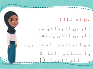 الرعي by alanoud faisal