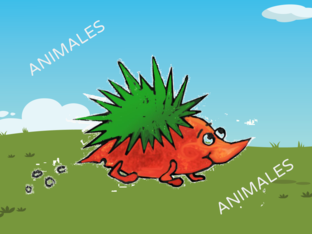  ANIMALS by JANE Strool-paz