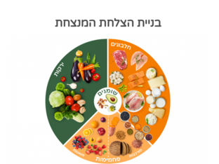 הצלחת המנצחת by נעם זהבי