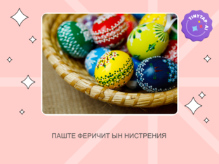  ПАШТЕЛЕ by Maia Terzi