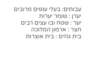 בגדי היערן by miro famo
